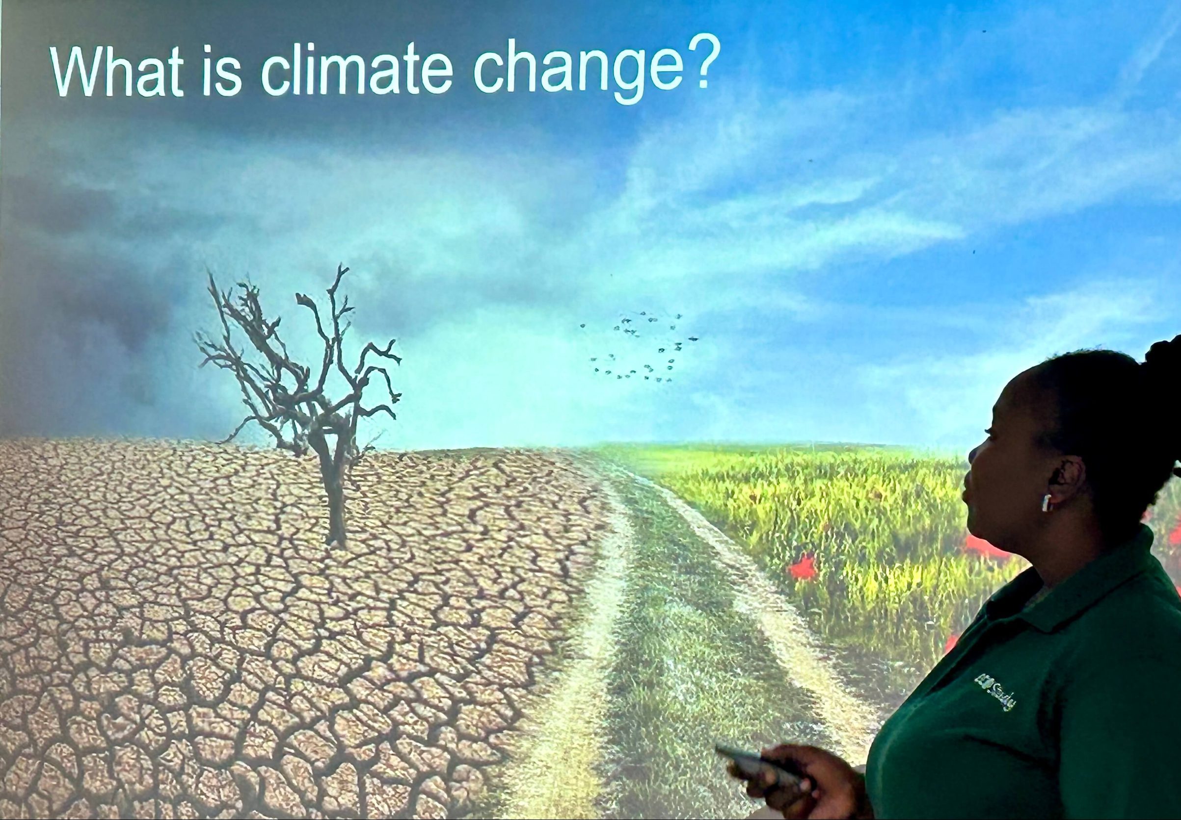 Climate Change Noz
