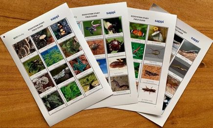 LEARNER ECOSYSTEM STUDIES1