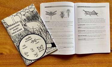 LEARNER ECOSYSTEM STUDIES2