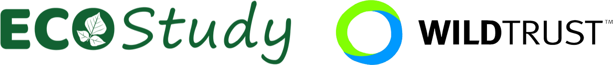 EcoStudy